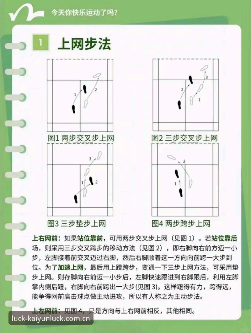 凯运体育官网深度资讯教程：从零开始掌握体育竞猜技巧